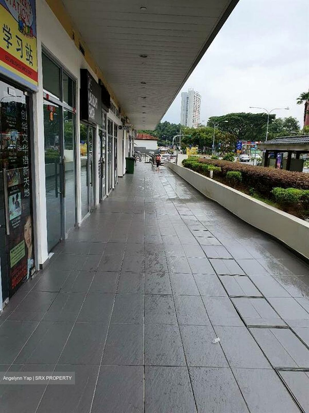 Suites @ Bukit Timah (D21), Shop House #466744041